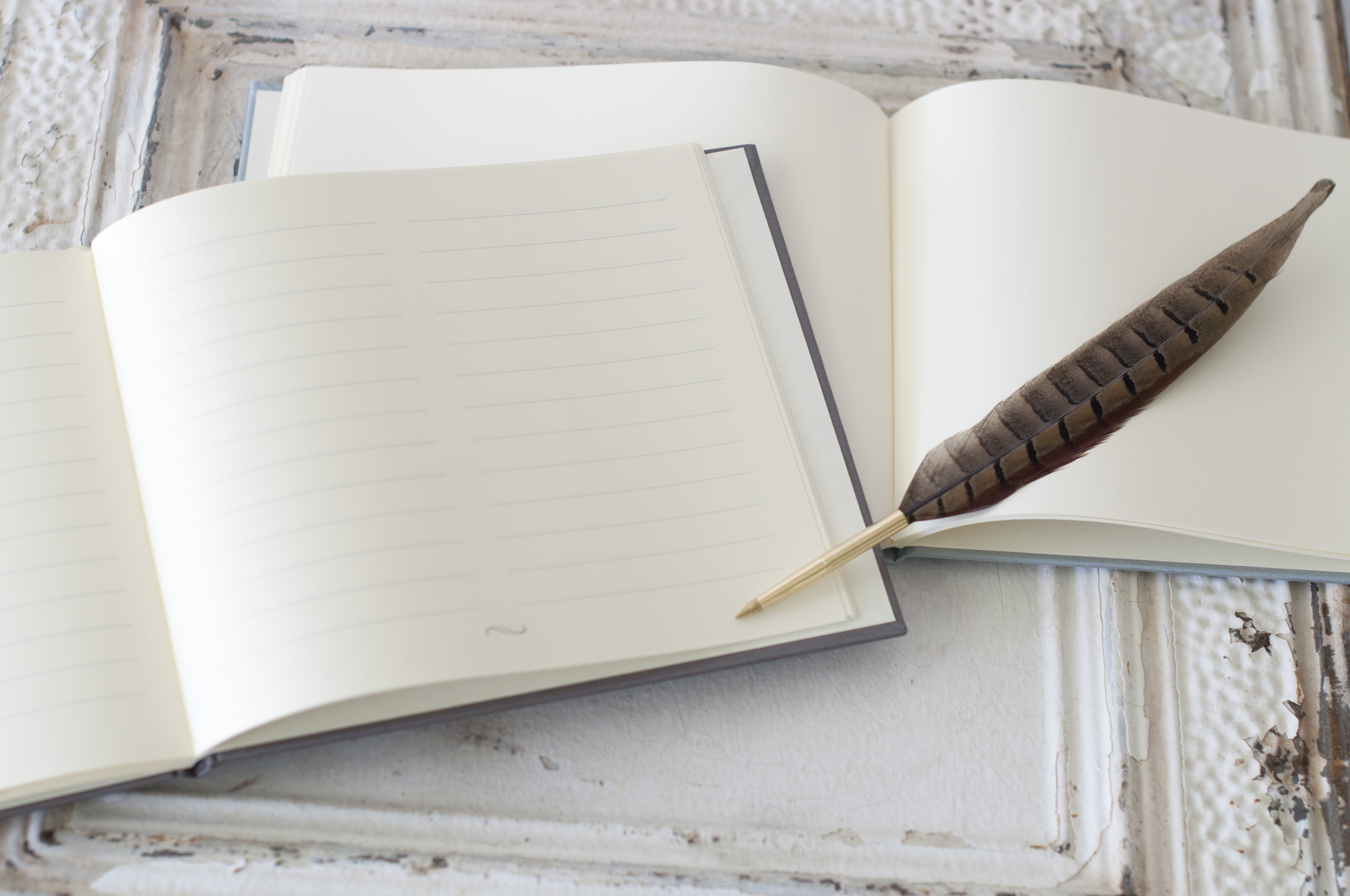 Lined and Blank Page Guest Books - Blue Sky Papers