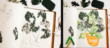 Keeping-Nature-Journals