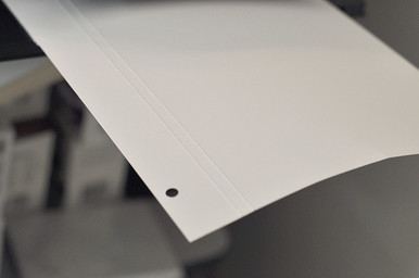 Back Side of Post Bound Pages