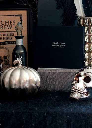 Double, Double, Toil and Trouble - A Black and Silver Halloween Party Idea