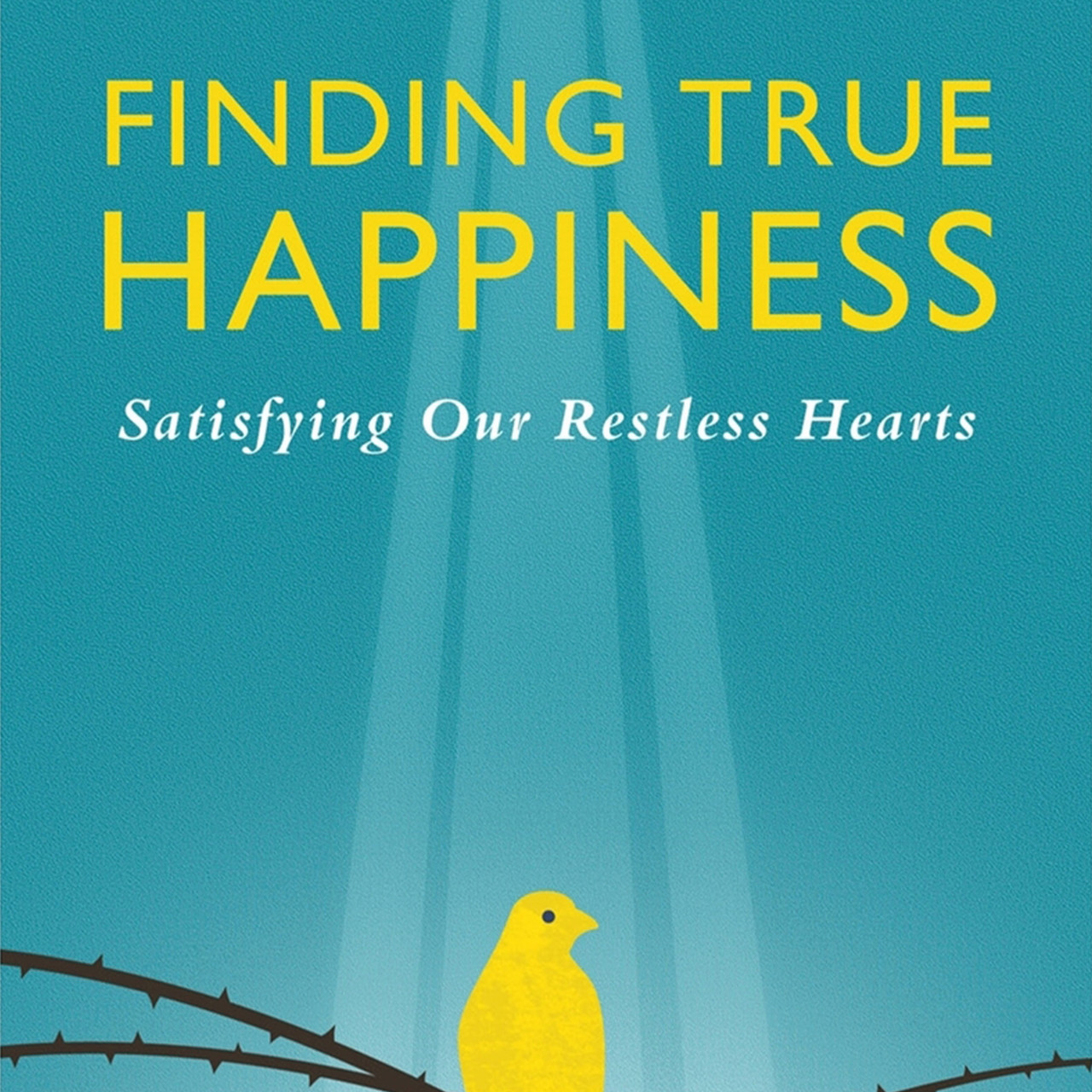 Finding True Happiness (Digital)