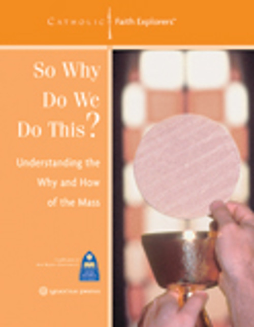 So Why Do We Do This? (Participant Workbook)