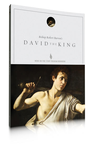 David the King Study Guide