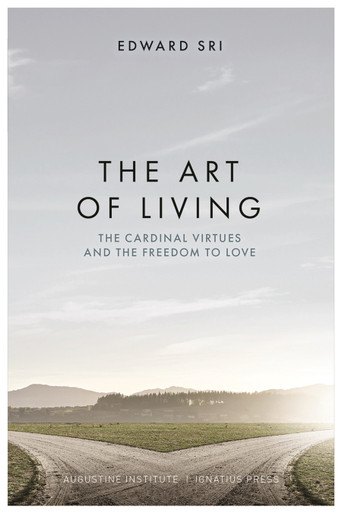 Extraordinary Voyages, English Version - Art of Living - Books and  Stationery