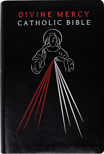 The Book of Truth: Volume one: The by Maria Divine Mercy