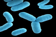 Prevent Infections Spreading Through Your Devices