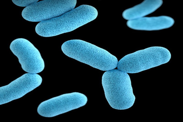 Prevent Infections Spreading Through Your Devices