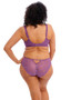Elomi Charley Underwire Plunge Bra