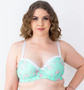 Lady Emprezz Padded Shaping Bra