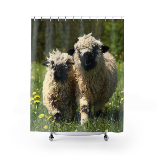 Valais Black-Nosed Sheep Shower Curtain