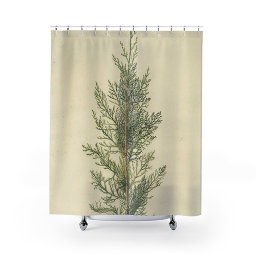 Botanical Juniper Shower Curtain featuring nature-inspired illustrations