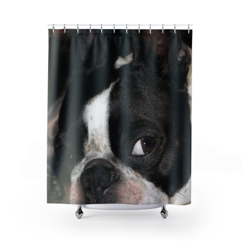 Boston Terrier Dog Shower Curtain