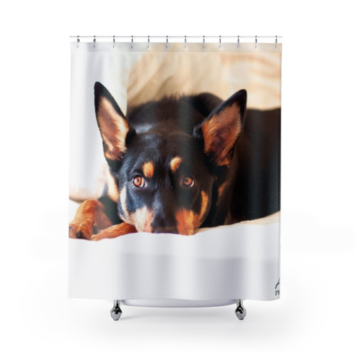 Australian Working Dog Rescue Calendar Shower Curtains