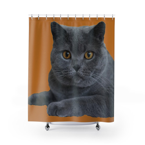 British Blue Shorthair Cat Portrait Shower Curtains