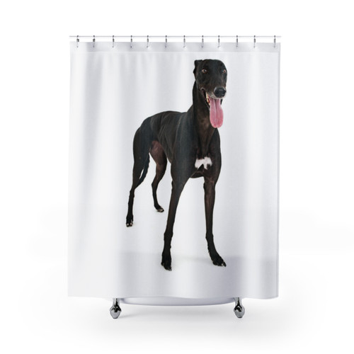 Black Greyhound Shower Curtain