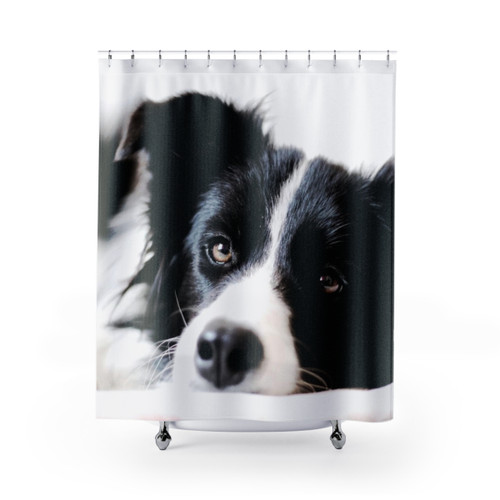 Border Collie Shower Curtain