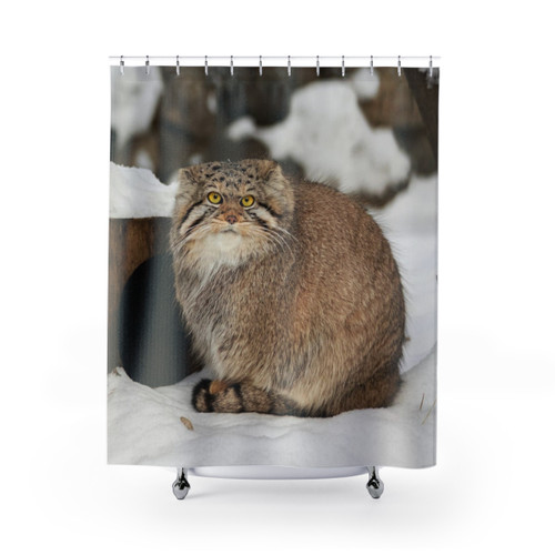 Pallas's Cat Shower Curtains - Vibrant Wildlife Decor