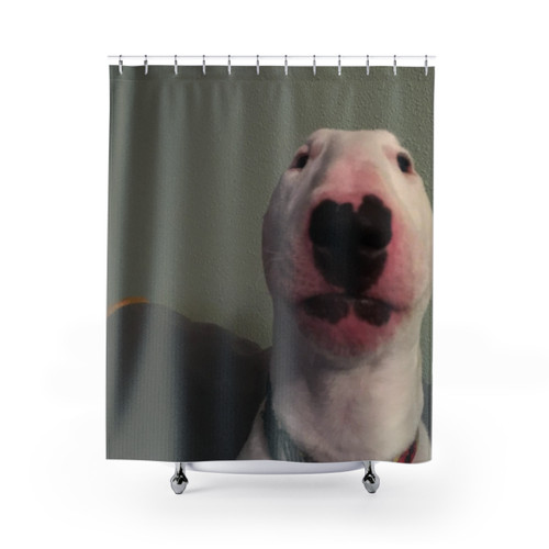 Walter the Dog Shower Curtain