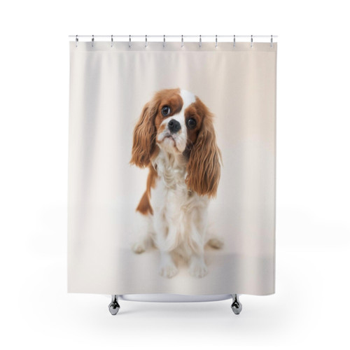 Blenheim Cavalier King Charles Spaniel Shower Curtain