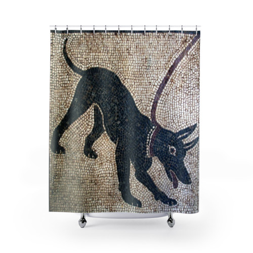 Pompeii Cave Canem Shower Curtains