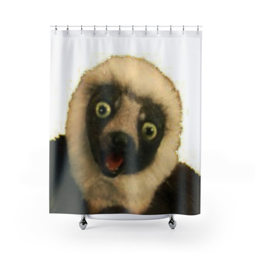 Zoboomafoo PBS Kids Themed Shower Curtain