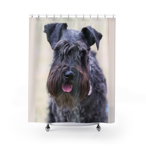 Black Miniature Schnauzer Shower Curtain