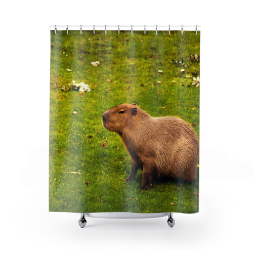 Capybara Shower Curtains - Adorable Mammal Decor