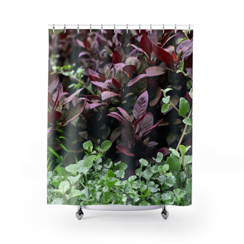 Alternanthera Brasiliana Shower Curtains
