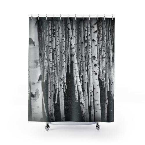 Silver Birch Trees Shower Curtain