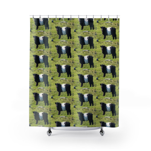 Belted Galloway Cow Shower Curtain