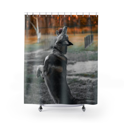 Husky dog on shower curtain