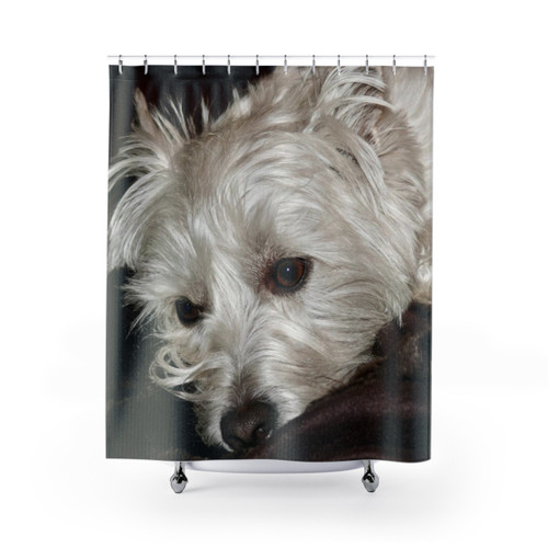 West Highland Terrier Shower Curtain