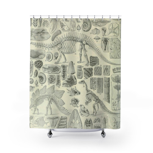 Vintage Fossil Chart Shower Curtain