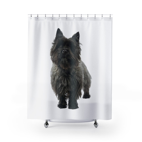 Black Cairn Terrier Dog Shower Curtains