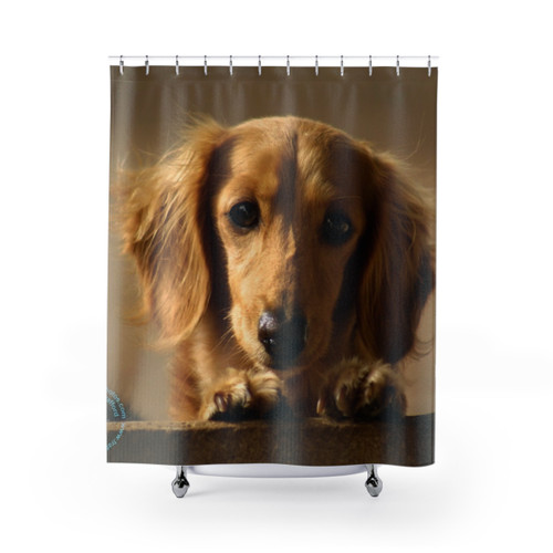 Dachshund Shower Curtains - Unique Dog-Themed Home Decor