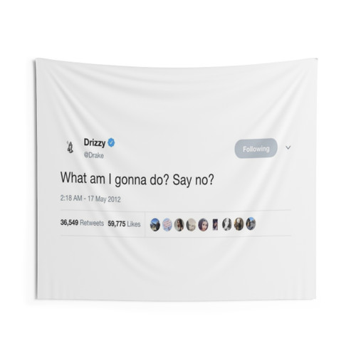 Drake Funny Tweet Tapestry