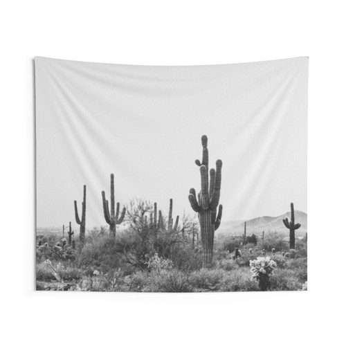 Arizona Desert Tapestry Featuring Cacti and Succulents