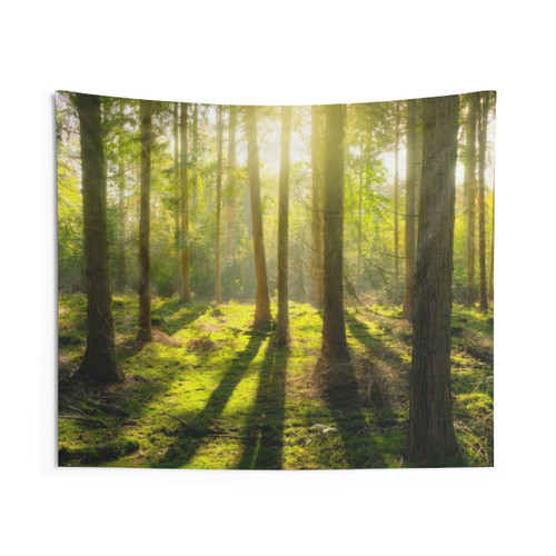 Vibrant Forest Tapestry with Sunshine in the Forest