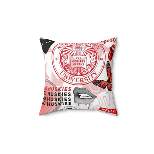 Northeastern Collage Pillow for College Decor