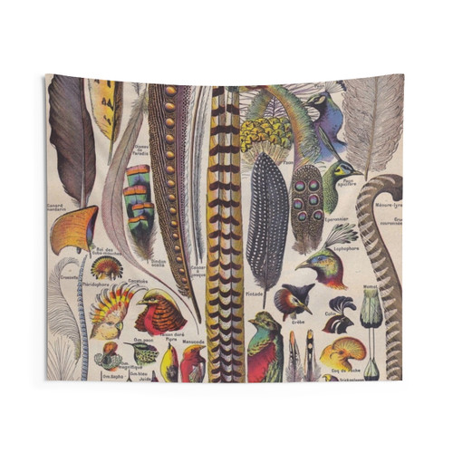 Vintage Feathers Tapestry - Larousse Encyclopedia Educational Lithograph