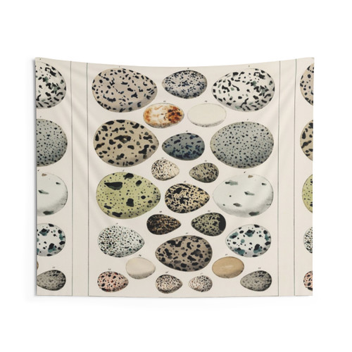 Bird Egg Educational Vintage Tapestry