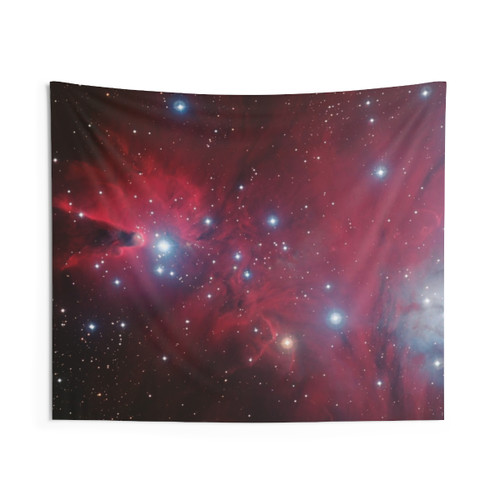 Christmas Tree Cluster and NGC 2264 Nebula Tapestry