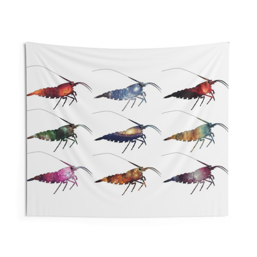 Caridina Shrimp Space Tapestry