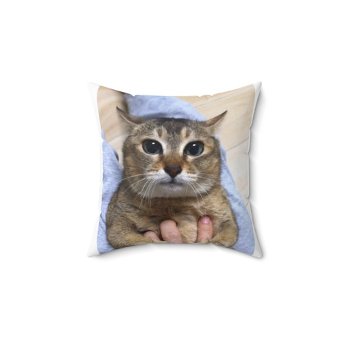 Tole Tole VRO Cat Pillow - Funny Meme Accent Cushion
