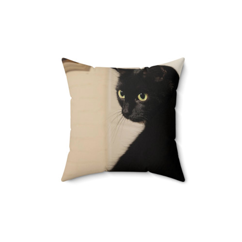 Black Cat Decorative Pillow