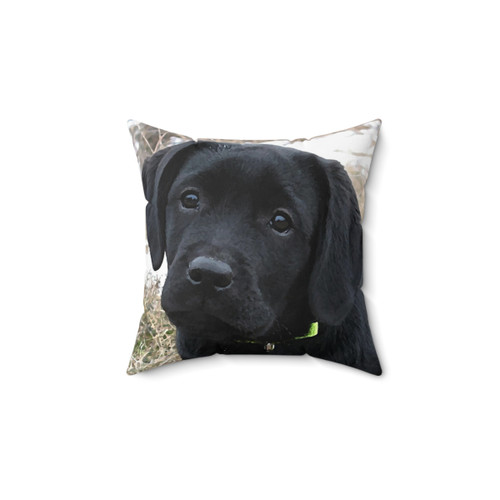 Black Labrador Puppy Pillow
