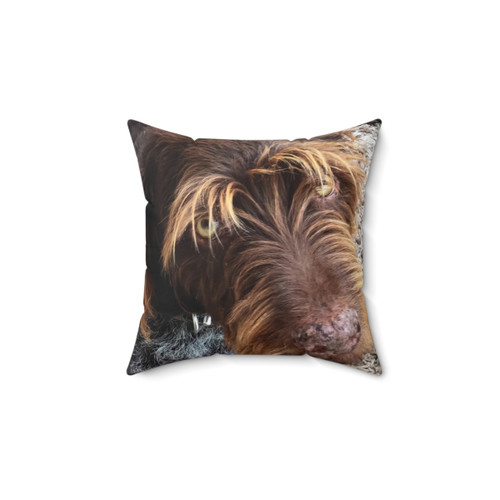 German Wirehaired Pointer Dog Pillow