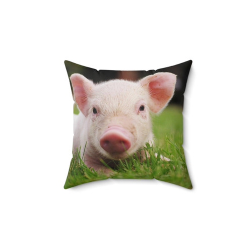 Soft and cuddly piglet plush pillow