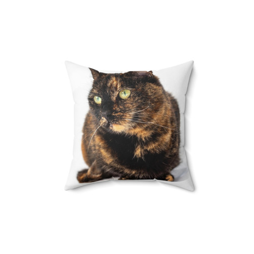 Tortoiseshell Cat Decorative Pillow