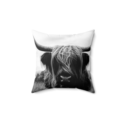 Scottish Highland Cattle Photography Pillow